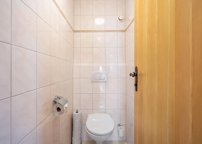 Appartement Rosa-3 By Interhome Mayrhofen